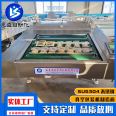 Rolling Vacuum packing Continuous vacuum sealing equipment for prefabricated vegetables Full automatic wet and dry food packaging machine