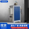 Shuanghong Electric Throughflow Low Nitrogen Steam Generator Fast Outflow Steam Boiler