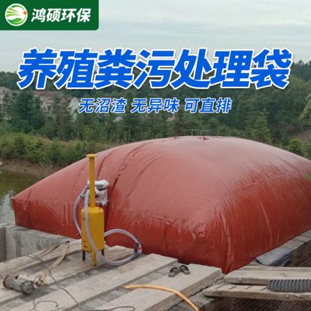 Design of New Rural Biogas Tank for Pig Farms Manure Biogas Bag Pig Farm Biogas Fermentation Tank Hongshuo Environmental Protection