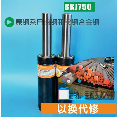 WX1500-16/YW/J-1500-016 replaceable BKC15.0-16-076 B nitrogen cylinder spring