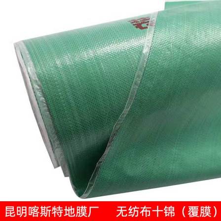 Ground protection film, high-temperature resistant, convenient for decoration and use, factory customized, 3-meter style, complete karst