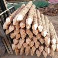 River flood prevention, pine stakes, landscaping engineering, green building, ground retaining, civil engineering, pile, cedar pole, round wood, Hongyuan Building Materials