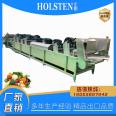 Saint Mary Fruit Tomato Cleaning and Air Drying Assembly Line Mint Leaf Automatic Water Replenishing Ultrasonic Cleaning Machine Huixin