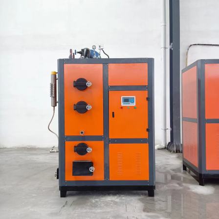 Biomass particles 300kg steam generator, pastry baking, supporting bean products processing, kitchen commercial boiler