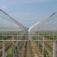 Jinlisen Steel Pipe Greenhouse Pipe Bending Vegetable Breeding Sunlight Greenhouse Greenhouse Multi span Arch Canopy Galvanized Round Pipe