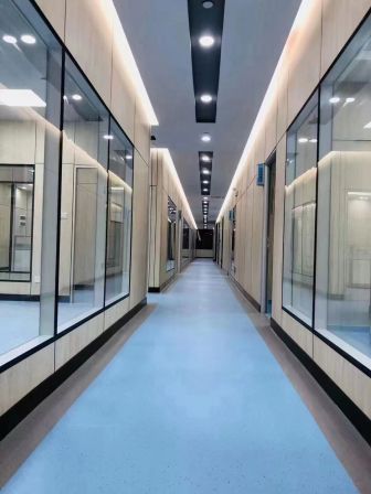 Laboratory pharmacy clean room observation window supply purification fixed double-layer explosion-proof tempered glass purification window