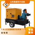 Self priming sewage pump, impurity model 200ZW260-20 diesel engine water pump, lift 20m, cast iron/stainless steel