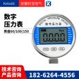 Kebao intelligent precision digital pressure gauge dial 100mm detection/calibration level stainless steel/plastic