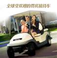 Electric Two Seat Sightseeing Vehicle Electric Four Wheel Sightseeing Vehicle Imported Battery High Quality Tires