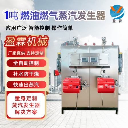 Gas steam generator Natural gas steam boiler Ruiying customized fuel Steam engine