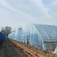 Building a plastic greenhouse with strawberries and grapes for rain protection. The film has good transparency and is fast to install