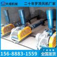 Roots blower manufacturer's backwash three blade Roots blower has long service life and quality assurance