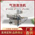 HOLSTEN fungus konjac cleaning machine vegetable and fruit drying and cleaning assembly line Huixin intelligent control