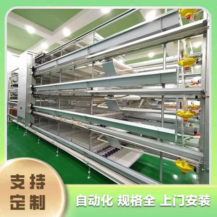 Poultry breeding equipment Jiaxing chicken breeding equipment Jiaxing chicken farm equipment Egg chicken cage breeding equipment Wholesale factory Egg chicken Meat chicken breeding equipment Meat chicken breeding equipment