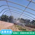 Elliptical tube greenhouse with strong and durable wind and snow resistant framework for planting flowers and vegetables 30 * 70 galvanized pipe manufacturer