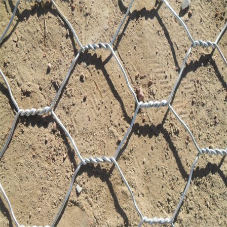 PVC wrapped plastic gabion net for forest and river management, gabion net box and reinforced mat