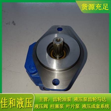 P124-G16182LD54G Directional Trenchless Drilling Machine Gear Pump Jiahe Hydraulic