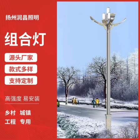 Customized municipal road combination lamp, Zhonghua Lamp, large LED landscape Yulan Lamp, Runchang Lighting