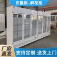 Fruit dedicated refrigerator ladder display cabinet with diverse refrigeration and freezing styles Freeo freezer