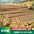 Chinese fir pile manufacturer, river slope protection, flood control pile driving, wooden garden greening support pole specification, Quanhongyuan Building Materials