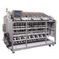 Sany Packaging - Manufacturing of facial mask filling machine - Supply of facial mask filling and sealing