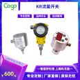 Shanghai Kogo Electronic KR Flow Switch