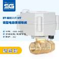 Micro proportional control valve, two-way brass analog signal electric valve, starting high valve