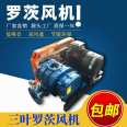 Roots blower equipped with brand pure copper motor, cast steel material, sewage treatment, aeration, aquaculture, and oxygenation