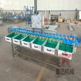 Mango weight sorting machine Hami melon weight sorting machine Yixun kiwifruit classifier