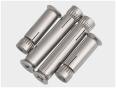 Flat head built-in expansion bolt stainless steel 304 316 carbon steel alloy steel non-standard customization