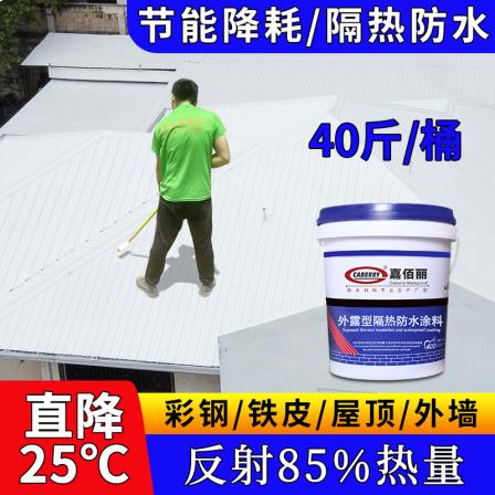 Nano reflective insulation paint, cooling adhesive, special insulation coating for exterior walls and roof of factory buildings