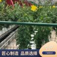 Hydroponic Vegetable Soilless Cultivation Technology Transparent Intelligent Greenhouse Huamin Agriculture