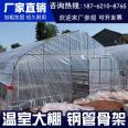 Large span vegetable and fruit arch greenhouse intelligent glass greenhouse with good daylighting performance Taiyouyi