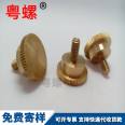 Straight knurled screw Thumb screw Step copper screw M5 M6 M8 M10