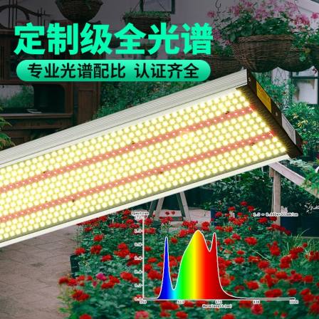 Quantum board Grow light high-power full spectrum greenhouse flower Pitaya fill light