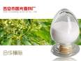 Synthesis of Camphor from Guoguang Plant Extract Natural Flavor Jojoba Oil and Walnut oil