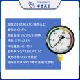 Zhuoran Tiangong P100 Ordinary Pressure Gauge Y100 Spring Tube Pointer Mechanical Fire Gas Pipe Made of Carbon Steel