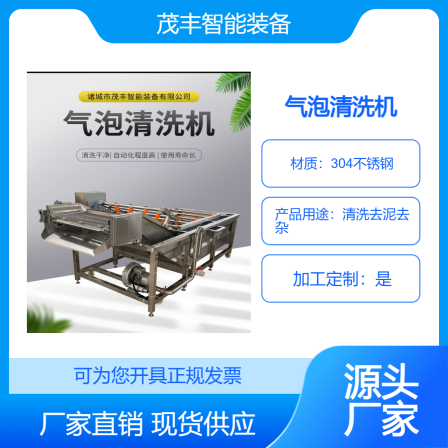 Fruit and Vegetable Bubble Cleaning Machine Fully Automatic Surf Cleaning Equipment Tomato Large Ultrasonic Cleaner