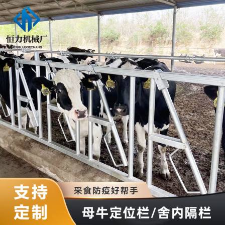 Hengli Mechanical Corrosion Resistant Hot Dip Galvanized Cowshed Inner Fence Cow Positioning Fence 750 Type