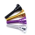 Customization of Color Anodizing Treatment for Aluminum Alloy Screw CNC Lathe Processing