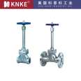 Imported flange low-temperature long shaft globe valve, American KNKE brand