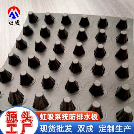 Shuangcheng Siphon Drainage and Collection System Factory Planting Roofing and Roof Composite Polymer Shaped Sheet