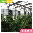 Thin film solar greenhouse, double film framework, Tongfeng Jianye multi-span vegetable greenhouse framework, hot-dip galvanized greenhouse factory