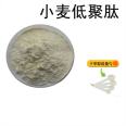 Baiqianhui Supply Wheat Oligopeptide Wheat Extract Small Molecular Peptide Food Grade Wheat Peptide Powder