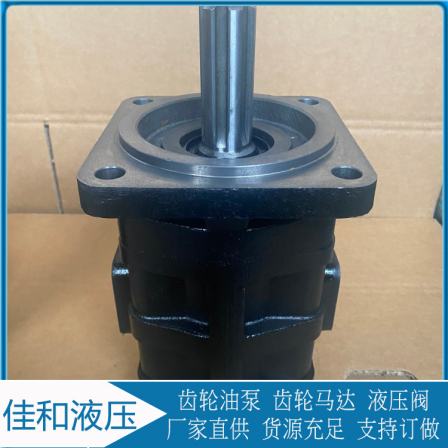 Gear pump CBGJ2063A left torque number 4120002117 has strong impact and pollution resistance, and low noise