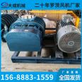 Sewage treatment backwashing equipment room aeration sedimentation tank, three leaf Roots blower, stable aeration and easy maintenance