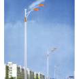 New Rural Street Lamp LED Single Arm Road Lighting Pole Urban Municipal Engineering Lighting Renovation