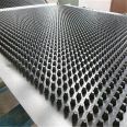 Manufacturer of HDPE plastic concave convex drainage board H20 PVC board for road subgrade