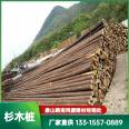 Chinese fir pile manufacturer, river slope protection, flood control pile driving, wooden garden greening support pole specification, Quanhongyuan Building Materials