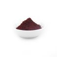 BASF GR Red 350FA High colouring power Good thermal stability for nylon modified injection ink